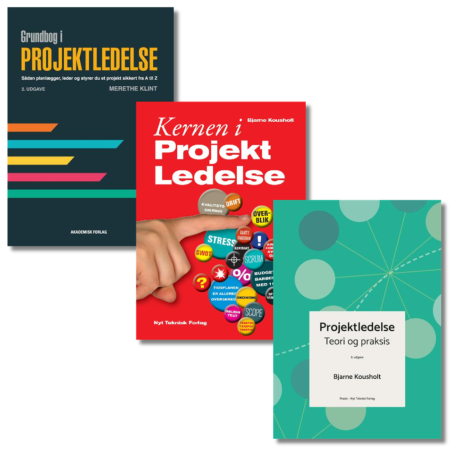 Projektledelse i organisationer