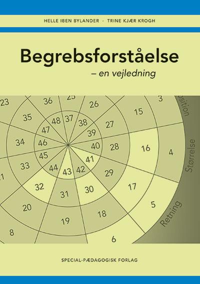 Begrebsforståelse, vejledning